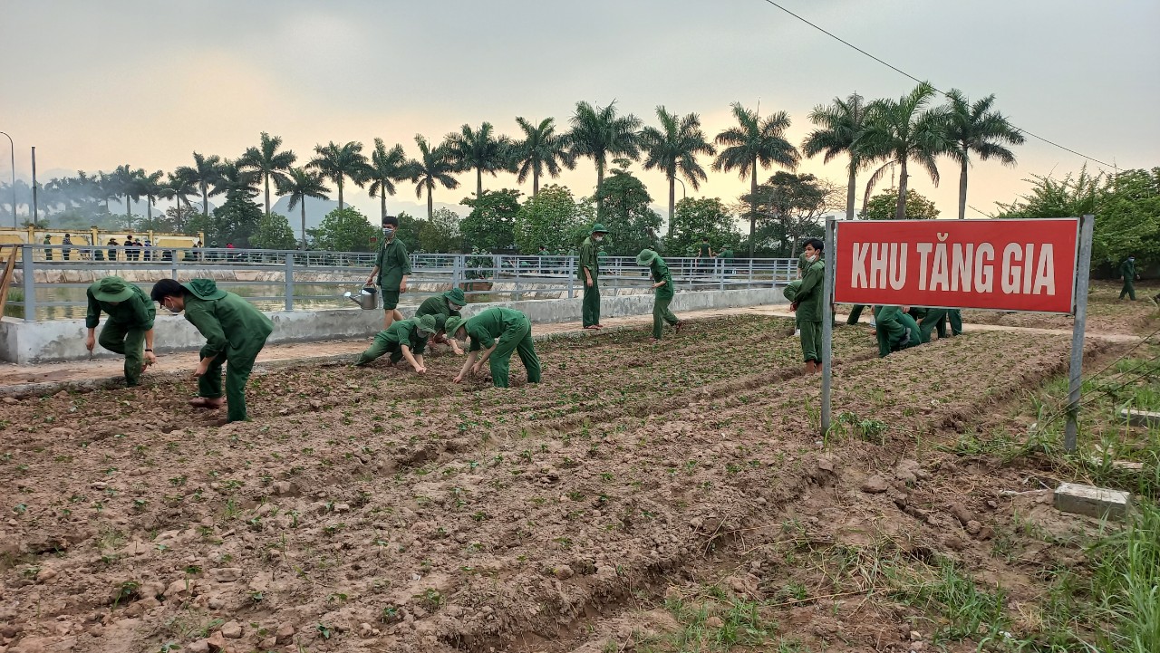 Tích cực thực hiện tốt kế hoạch lao động tăng gia sản xuất học kỳ II năm học 2021-2022 tại Trung tâm GDQP&AN