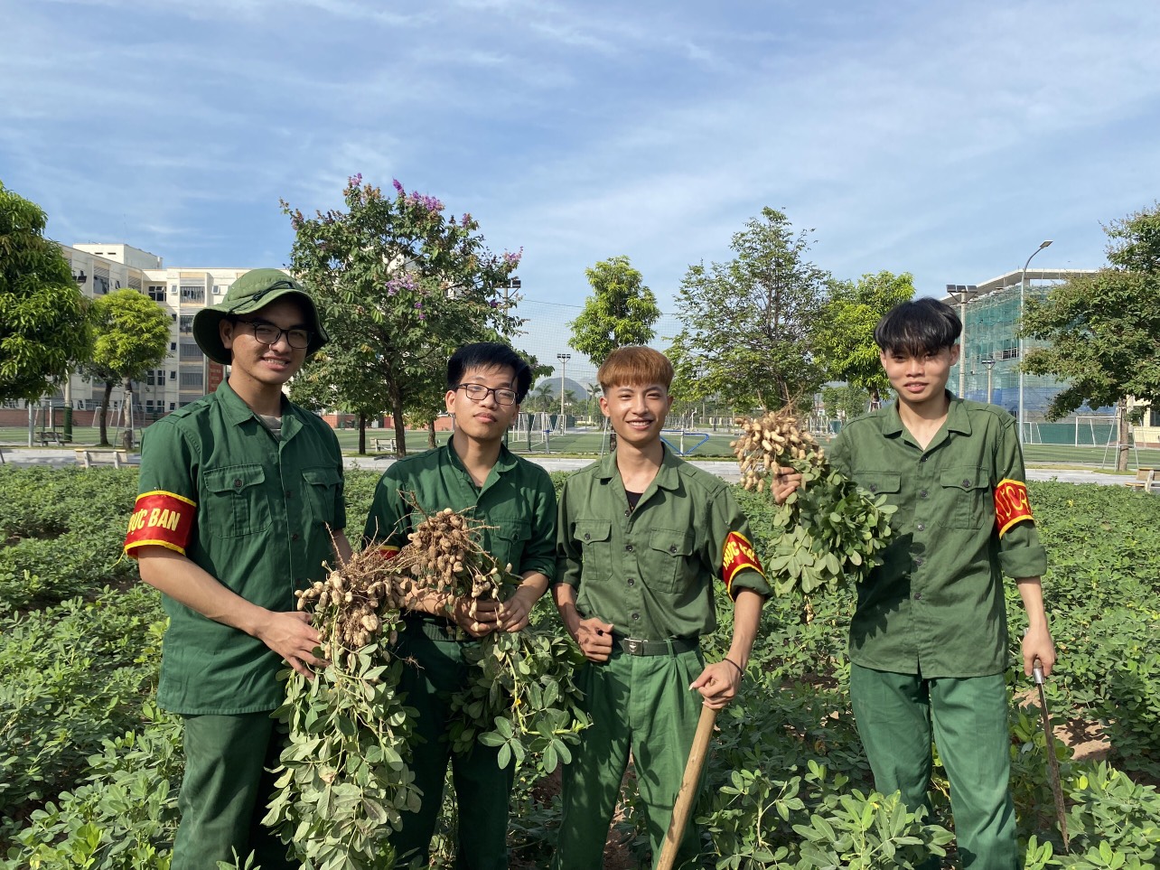 Phóng sự ảnh: Thu hoạch Lạc tại khu tăng gia sản xuất của Trung tâm GDQP&AN