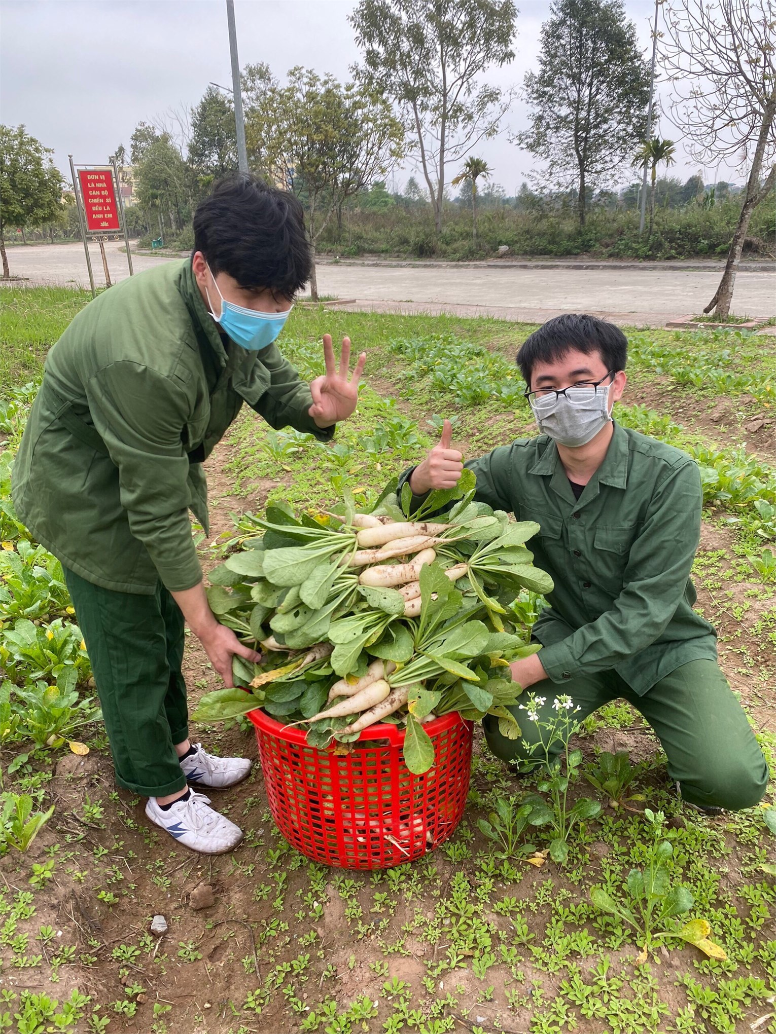 Chọn lựa giống cây (rau, củ, quả) phù hợp với đất đai và vị trí canh tác để xây dựng mô hình trồng trọt tại Trung tâm GDQP&AN đảm bảo cho sinh viên trải nghiệm theo 11 chế độ trong ngày, 03 chế độ trong tuần