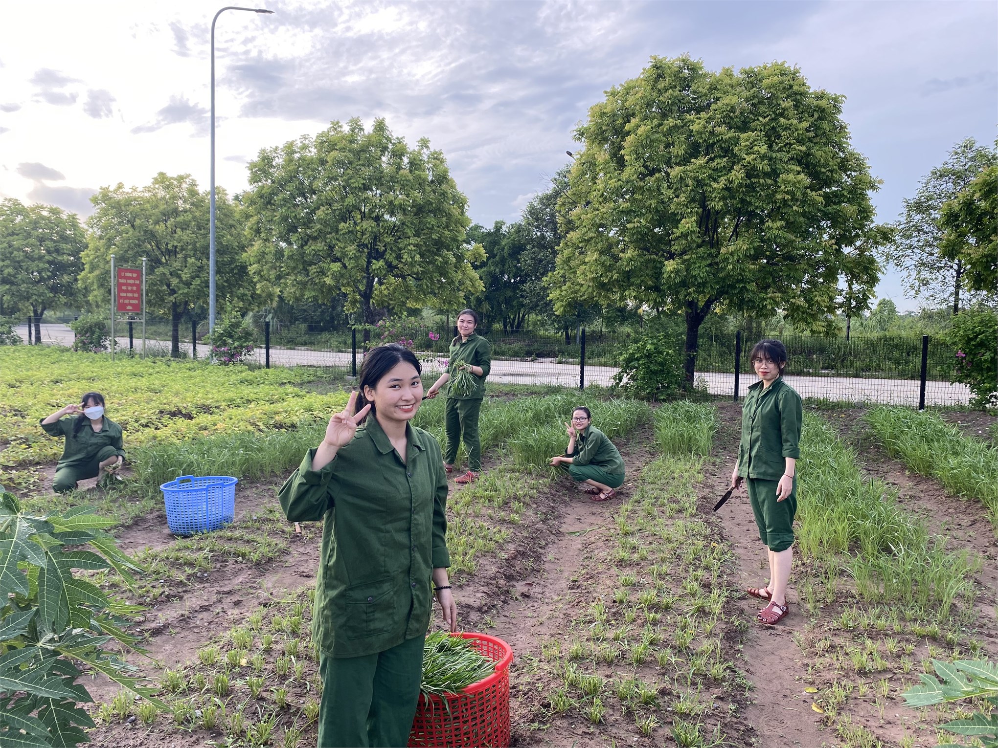 Chọn lựa giống cây (rau, củ, quả) phù hợp với đất đai và vị trí canh tác để xây dựng mô hình trồng trọt tại Trung tâm GDQP&AN đảm bảo cho sinh viên trải nghiệm theo 11 chế độ trong ngày, 03 chế độ trong tuần